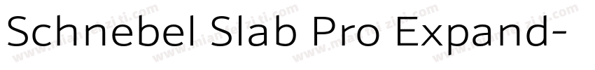 Schnebel Slab Pro Expand字体转换